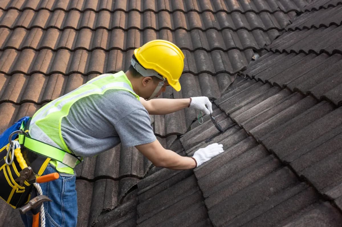 Professional roofing services
