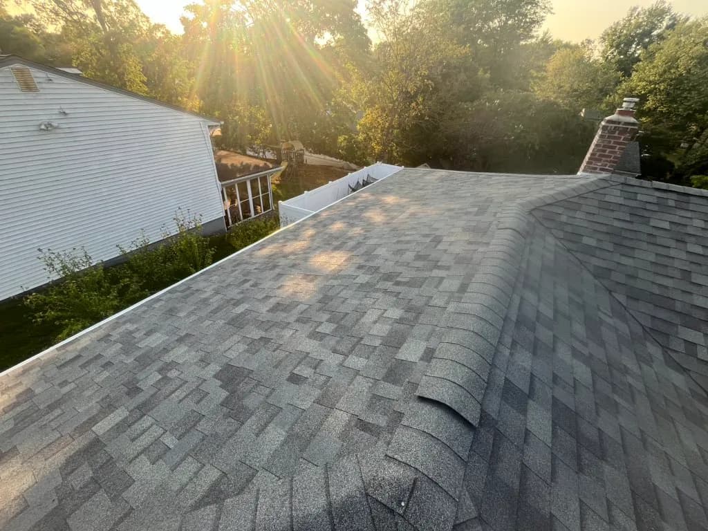 Professional roofing services